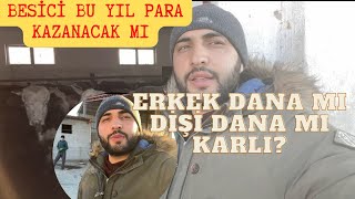 BESİ BU YIL PARA KAZANDIRIR MI?PEYGAMBER MESLEĞİ ÇOBANLIK