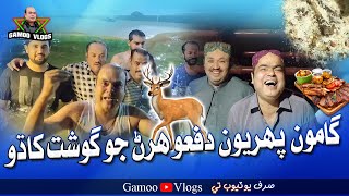 Gamoo Paheryon Dafo Haran Jo Gosht Khado | Asif Pahore (GAMOO) | Gamoo Vlogs