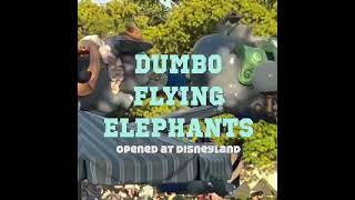 Believe an Elephant Can Fly! #dumbo #disneyland #shortsvideo  #disneyfans @wdwreflectionspodcast