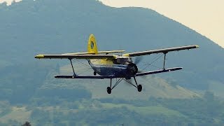 Antonov An-2 at Hahnweide Air Show 2013