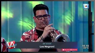 Los Negroni - Procura (En Vivo)