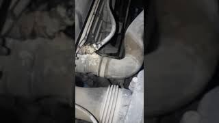 BMW 730i Coolant leak #shorts #adler #garage #kuwait