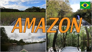 Amazon Jungle Adventure: Speedboat Ride and Kayak Ride