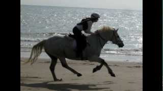 Camber Sands, Rye - riding horses