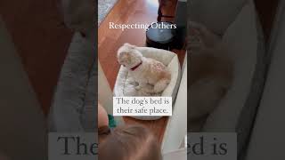 Respect for Animals / Montessori at home & respectful parenting