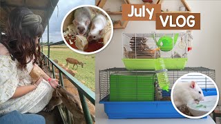 Evacuating the pet room & going on a Deer safari | VLOG