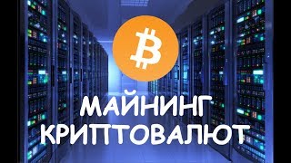 Как начать майнить? Как заработать на майнинге криптовалют? Все нюансы добычи крипты.