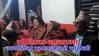 अर्गानिक स्याङ्जाको मौलिक सालैजो भाका/Syangja Ko Salaijo