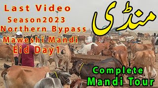 Last Video Eid Day 1 Northern Bypass Mandi Season 2023  | Shokeene Lover | Bakra Eid 2023