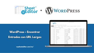 WordPress – Encontrar Entradas con URL Largas