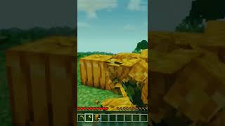 Oddly Satisfying Minecraft #shorts #minecraft #tiktok