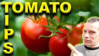 12 Tomato TIPS - Become A BETTER Gardener