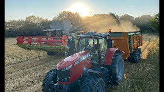 🇫🇷 Top départ des moissons dans l'aube 🇫🇷 La nouvelle lexion 5400 au taquet 🤩🚜