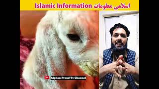 حلال ځناور چی قربانی پی نه کیګی || اسلامی معلومات