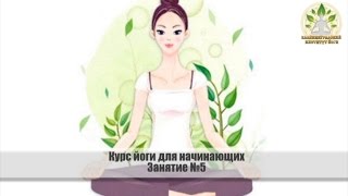 Вводный курс йоги для новичков (Занятие №5)