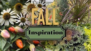 Planting Fall Containers | Cabbage, Viola, & More!