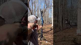 Hippo shot 50 yard #mathewsarchery #mathews #bowhunting #bow #hunting #archery #safari #viral