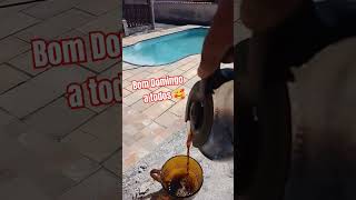 #vlog #Domingo #cafe #piscina #moçambique #shortsvideo