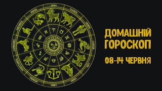 Домашний Гороскоп на 08-14 июня 2020