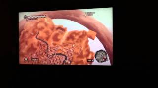 Assassin's Creed Brotherhood flying over Rome 4