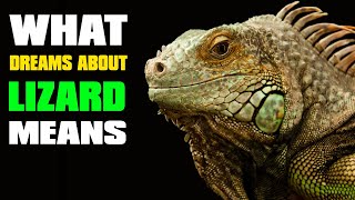 Dreams about Lizard - What does it mean when you dream about lizard - Dream Meaning Interpretations