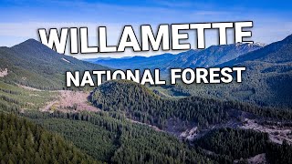 7 minutes of beautiful Willamette National Forest