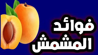 فوائد المشمش 🍑