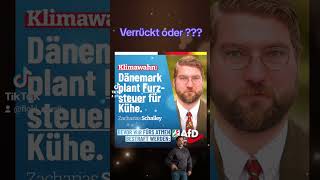 Dänemark: Erste Steuer auf Kuh-Emissionen#Dänemark #MethanSteuer #KuhEmissionen #Umweltschutz #afd