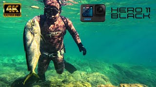 ΧΕΙΜΕΡΙΝΟ ΨΑΡΟΤΟΎΦΕΚΟ..... Spearfishing  with GoPro 11