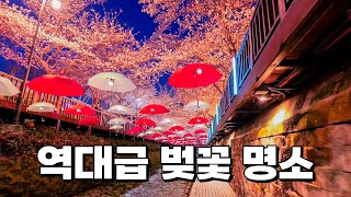 올해 정말 역대급 벚꽃을 보고 왔습니다. 300만명이 감탄했던 벚꽃명소 군항제를 제대로 즐기고 와서 소개해 드릴게요. 올해는 경관조명이 더해져서 더욱 환상적이었습니다.