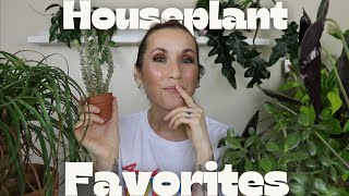 August Houseplant Favorites!