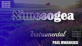 NIMESOGEA  BY PAUL MWANGOSI - INSTRUMENTAL