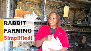 Rabbit Farming 101: How to Start a Profitable Rabbit Farm (Step-by-Step Guide)