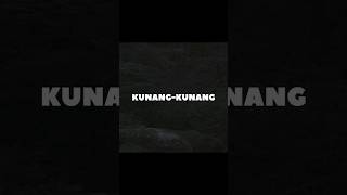 Kunang-Kunang | Bukan Kuku Setan #kunangkunang #fauna #unik