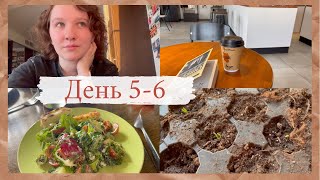 НЕДЕЛЯ ЧТЕНИЯ Эксклюзивной Классики 🧡 | ДЕНЬ 5 - 6