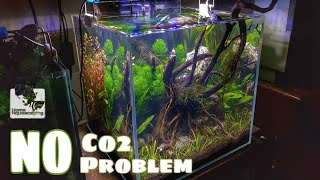 HOW TO NANO AQUASCAPE - Low tech Step by Step Ep.6 | Cube Tank| |30cm水槽 水草