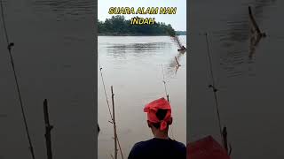 Mancing di temani suara burung yang merdu