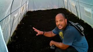 Firming up the green house & utilizing local soil mix