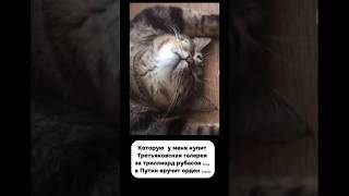 #художник #масло #арт #живопись #shorts #shortvideo