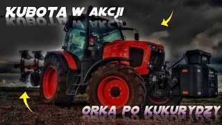 ✩Orka Po kukurydzy✩Kubota M6-122 w akcji✩oraz pług kuhn