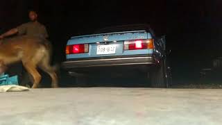 E30 cold start chopping