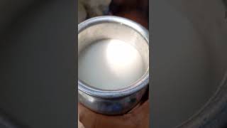 Home made Buttermilk just10₹ 78years old shop👌#shorts #food #summer #special #butter #milk #trending