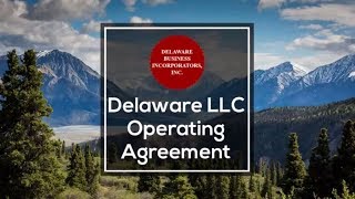 Delaware LLC Operating Agreement