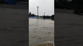 Chennai flood