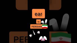 #persian #persian_music #education Persian language Persian lessons #shorts ear in PERSIAN 🇮🇷