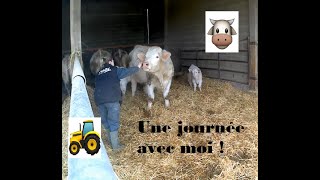 Une journée dans ma peau - [VLOG] 👩‍🌾