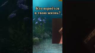 Кто вернётся в твою жизнь?👣 Уже на пороге