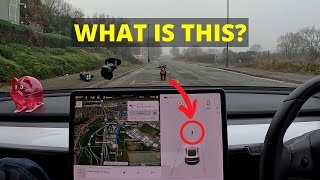 Tesla autopilot vs man & reindeer test UK