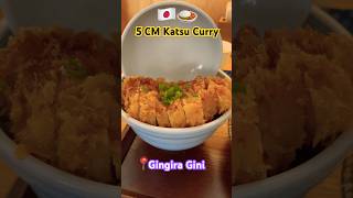 📍서울 마포구 희우정로 29 1층 우측호 (합정동) Japanese Katsudong and Katsu Curry #japanesefood #seoultravelguide