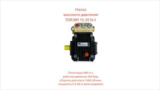 Насос высокого давления TOR BM 15.25 N-1 с аксессуарами